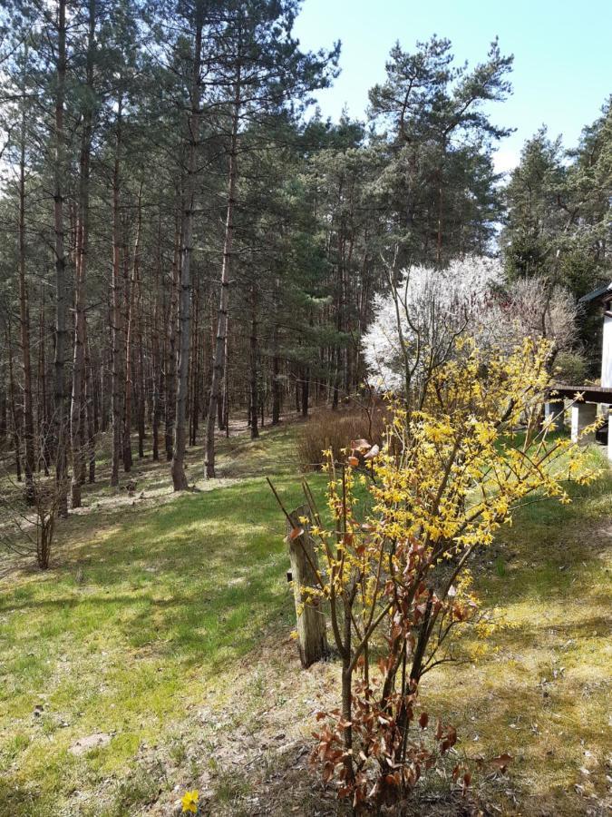 Lesna Polana Vila Górzno Exterior foto