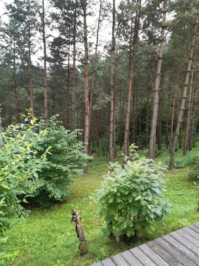 Lesna Polana Vila Górzno Exterior foto