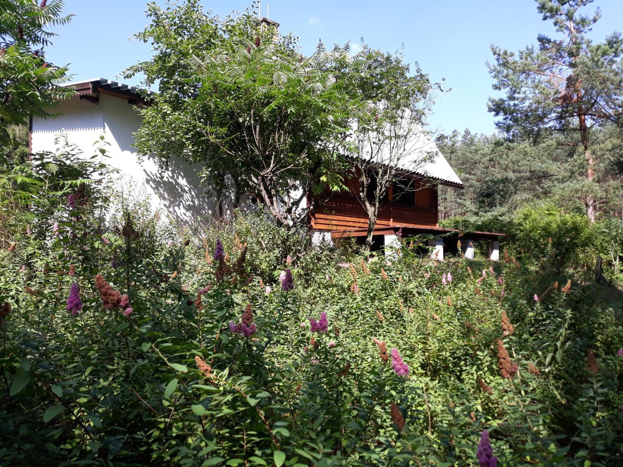 Lesna Polana Vila Górzno Exterior foto